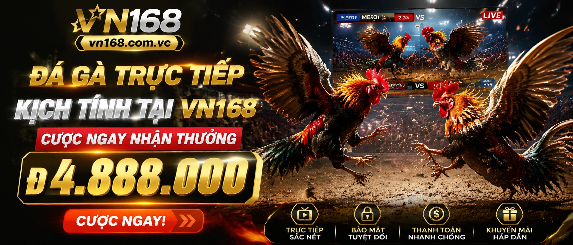 Đá Gà Trực Tiếp trên vn168.com.vc