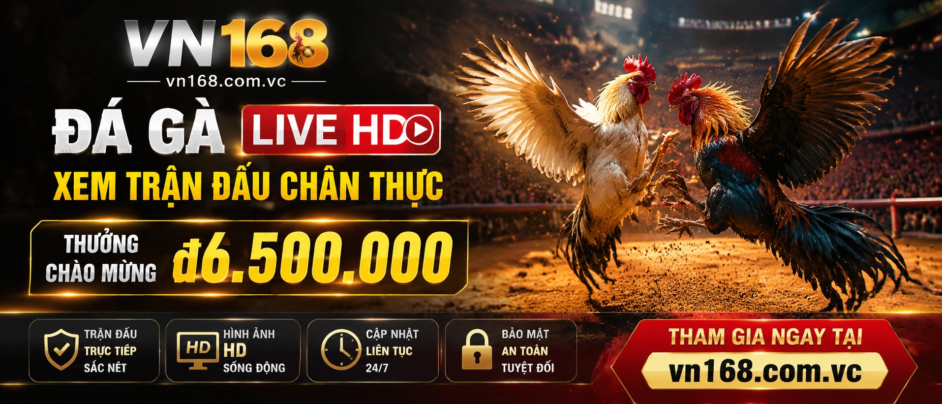 Đá Gà Trực Tiếp nội dung nổi bật